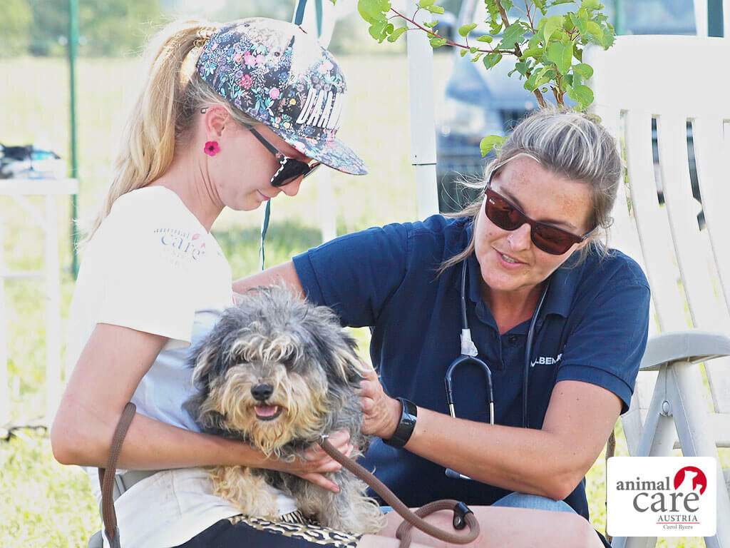 Untersuchung Animal Care Austria