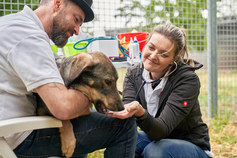 Leckerli für Hund